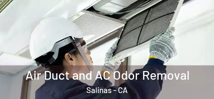  Air Duct and AC Odor Removal Salinas - CA