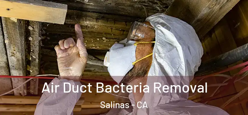 Air Duct Bacteria Removal Salinas - CA