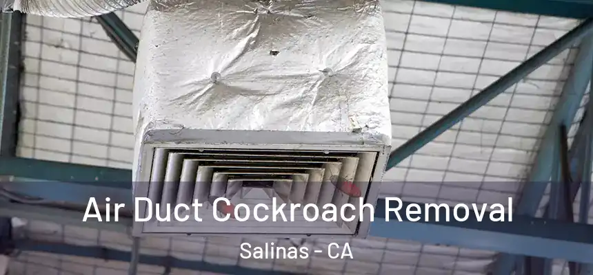 Air Duct Cockroach Removal Salinas - CA