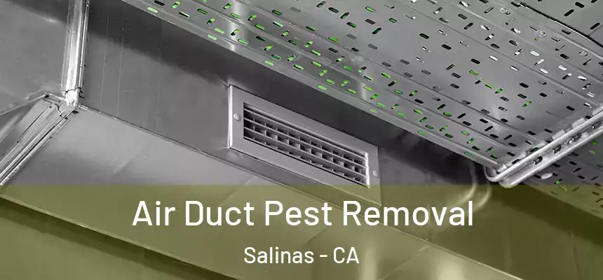 Air Duct Pest Removal Salinas - CA
