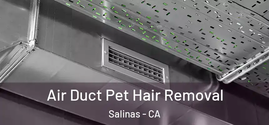 Air Duct Pet Hair Removal Salinas - CA