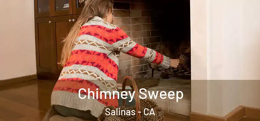  Chimney Sweep Salinas - CA