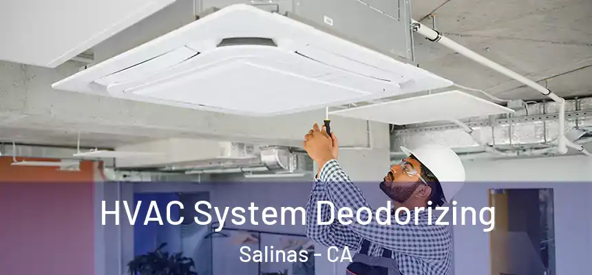  HVAC System Deodorizing Salinas - CA