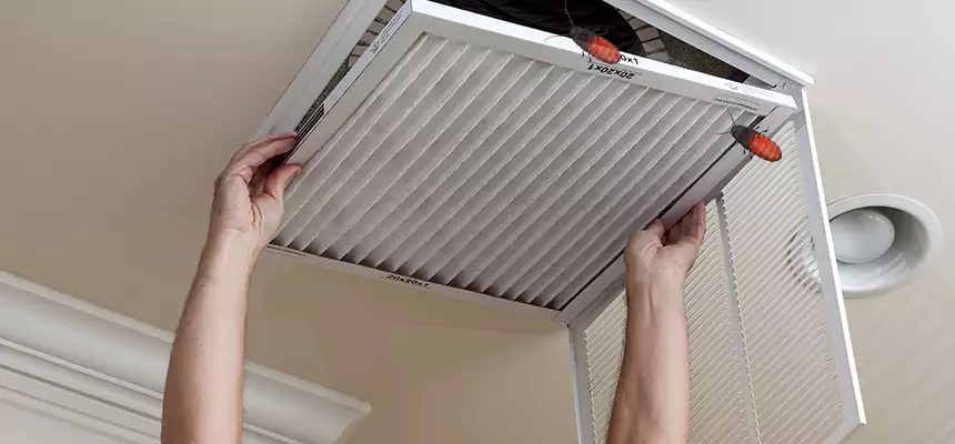 Preventive Cockroach-Proofing for Ducts in Salinas