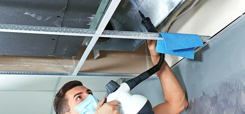 Our Air Duct Rodent Removal Services in Salinas, CA