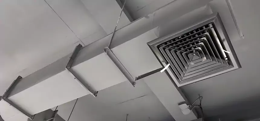 Our Pest Removal From Ducts Services in Salinas, CA