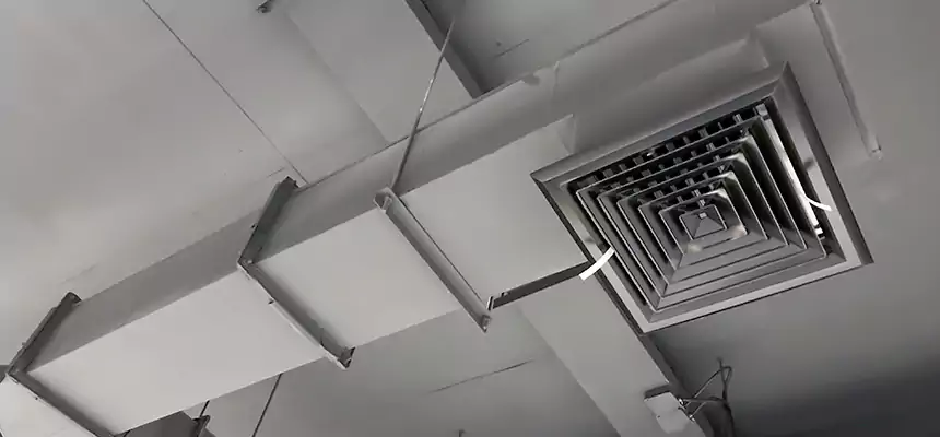 Our Rodent Droppings In Vents Services in Salinas, CA