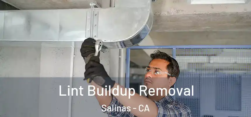  Lint Buildup Removal Salinas - CA