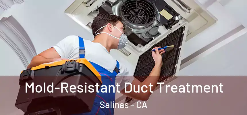 Mold-Resistant Duct Treatment Salinas - CA