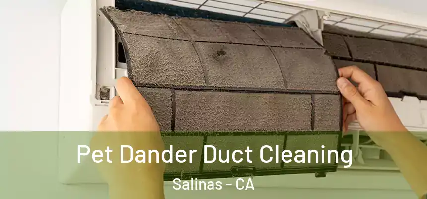  Pet Dander Duct Cleaning Salinas - CA