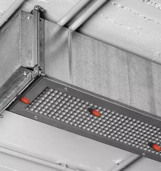 About Air Duct Cockroach Removal in Salinas, CA