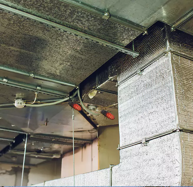 Why Homeowners & Businesses Trust Us in Salinas, CA?