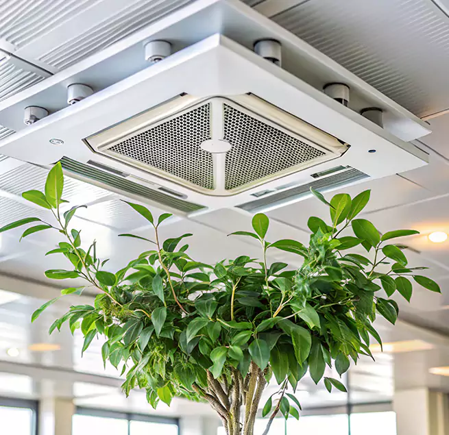 Why Homeowners & Businesses Trust Us in Salinas, CA?