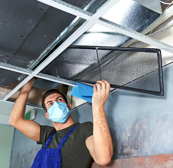 Why Homeowners Businesses Trust Us in Salinas, CA?