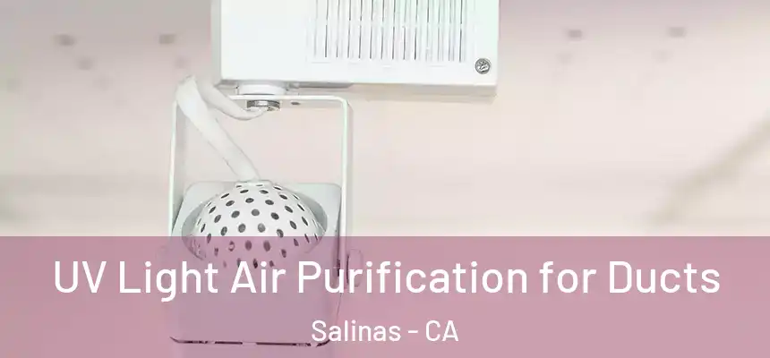  UV Light Air Purification for Ducts Salinas - CA